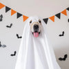 Halloween Ghost Cloak Spooky Dog Cosplay Costume
