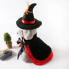 Halloween Costume With Witch Hat