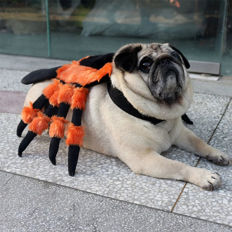 Halloween Red Eyed Spider