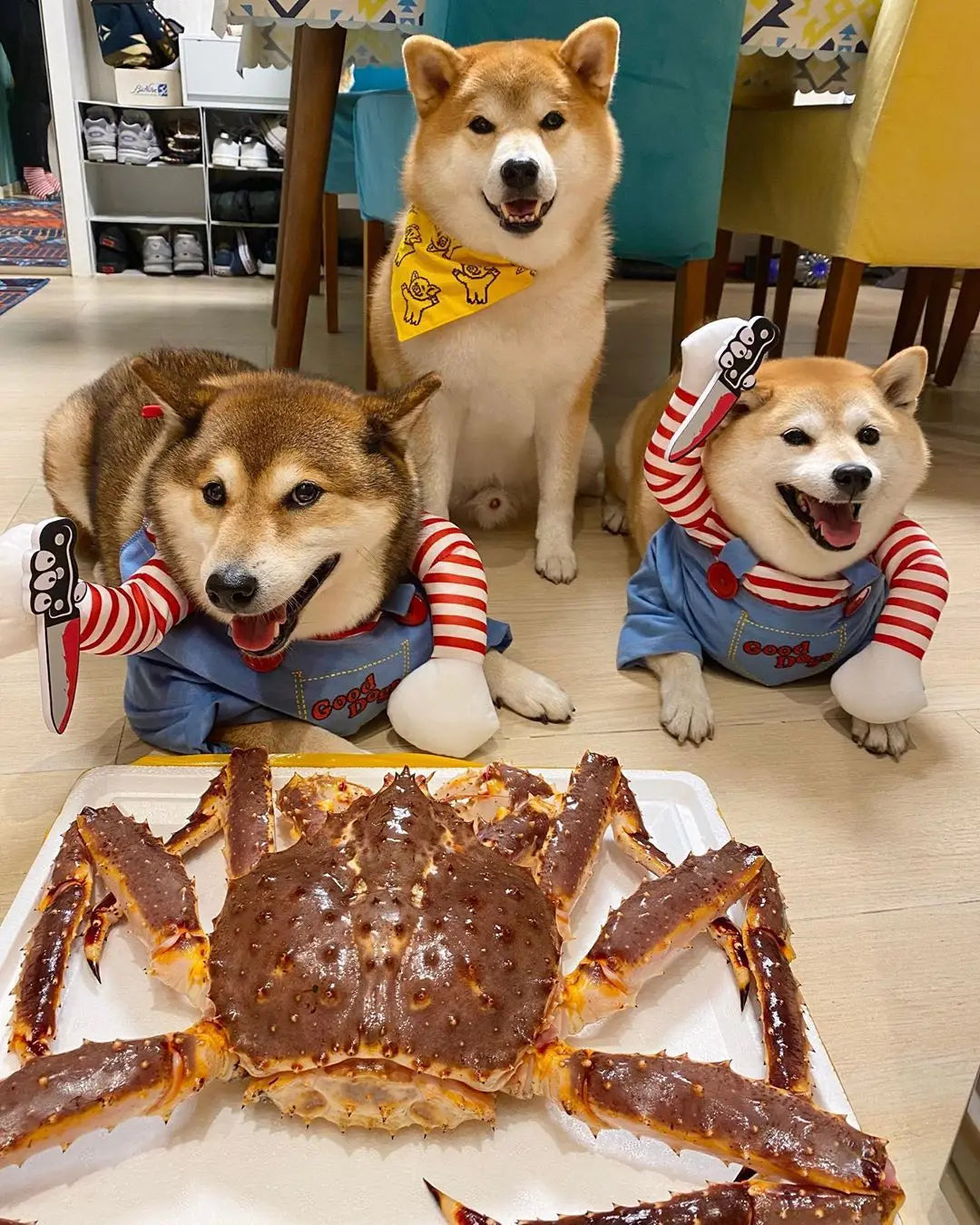 Halloween Cosplay Costume Dog Dress for Small & Medium Dogs