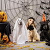 Halloween Ghost Cloak Spooky Dog Cosplay Costume