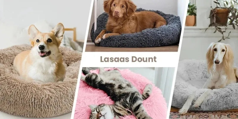 Super Soft Plush Bed