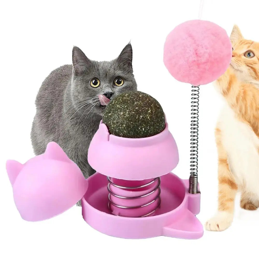 Catnip Wall Toys Rotatable Cat Licking Balls