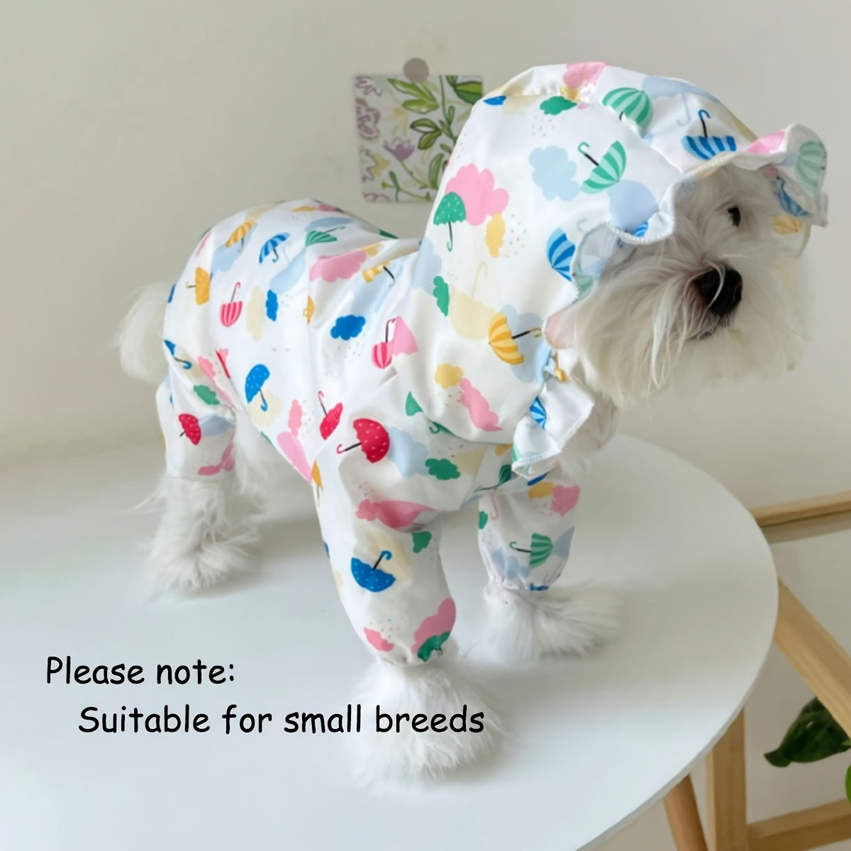 Raincoat